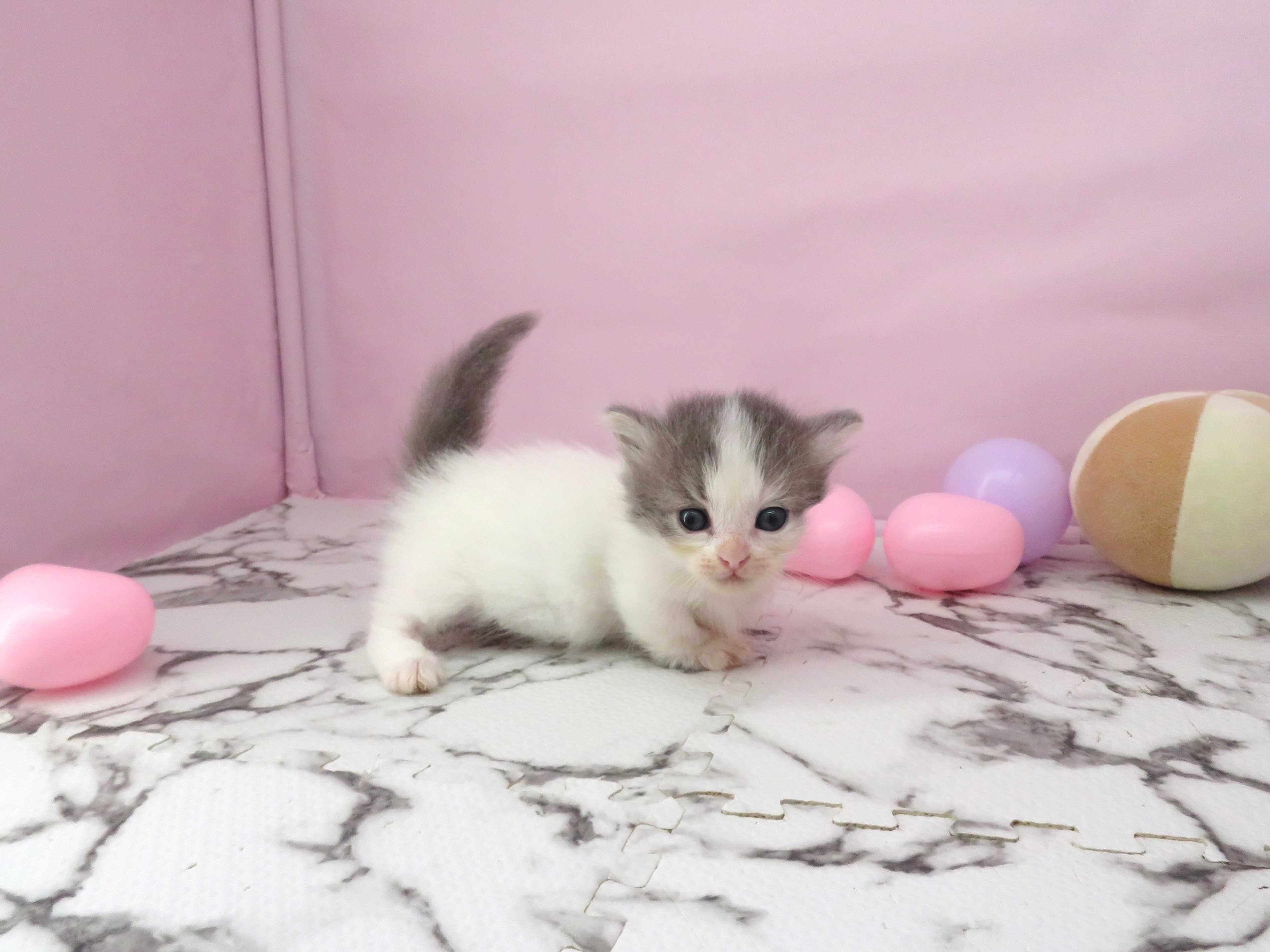 赤ちゃん写真2-2