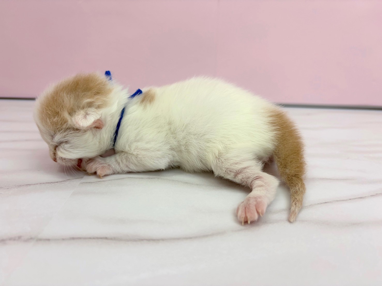 赤ちゃん写真1-2