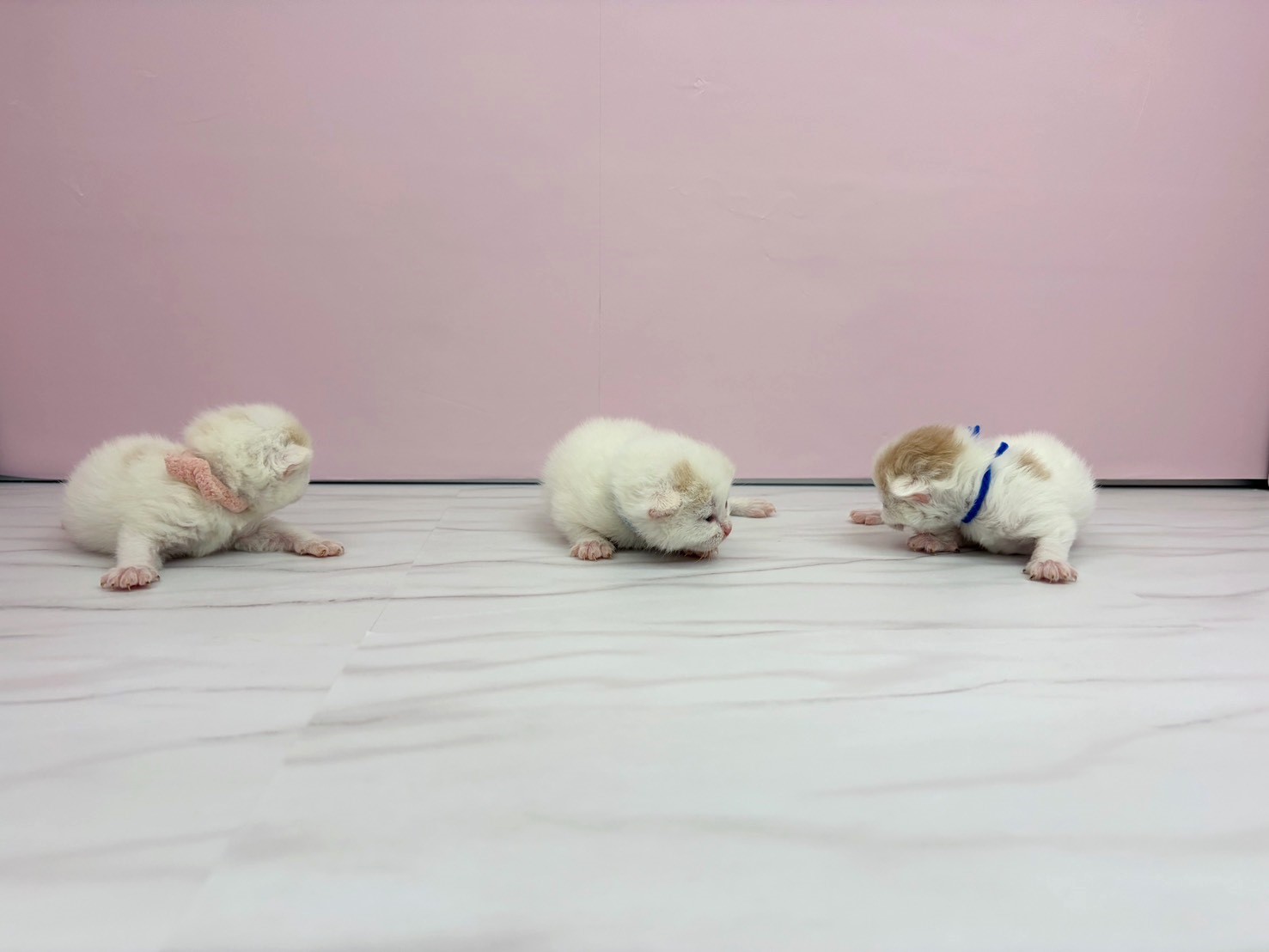 赤ちゃん写真1-3
