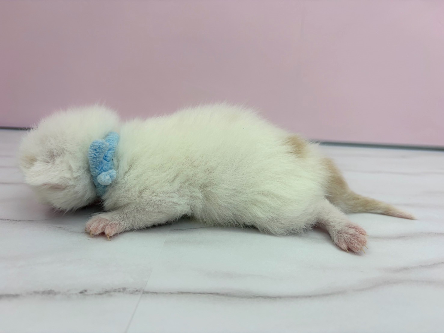 赤ちゃん写真1-2