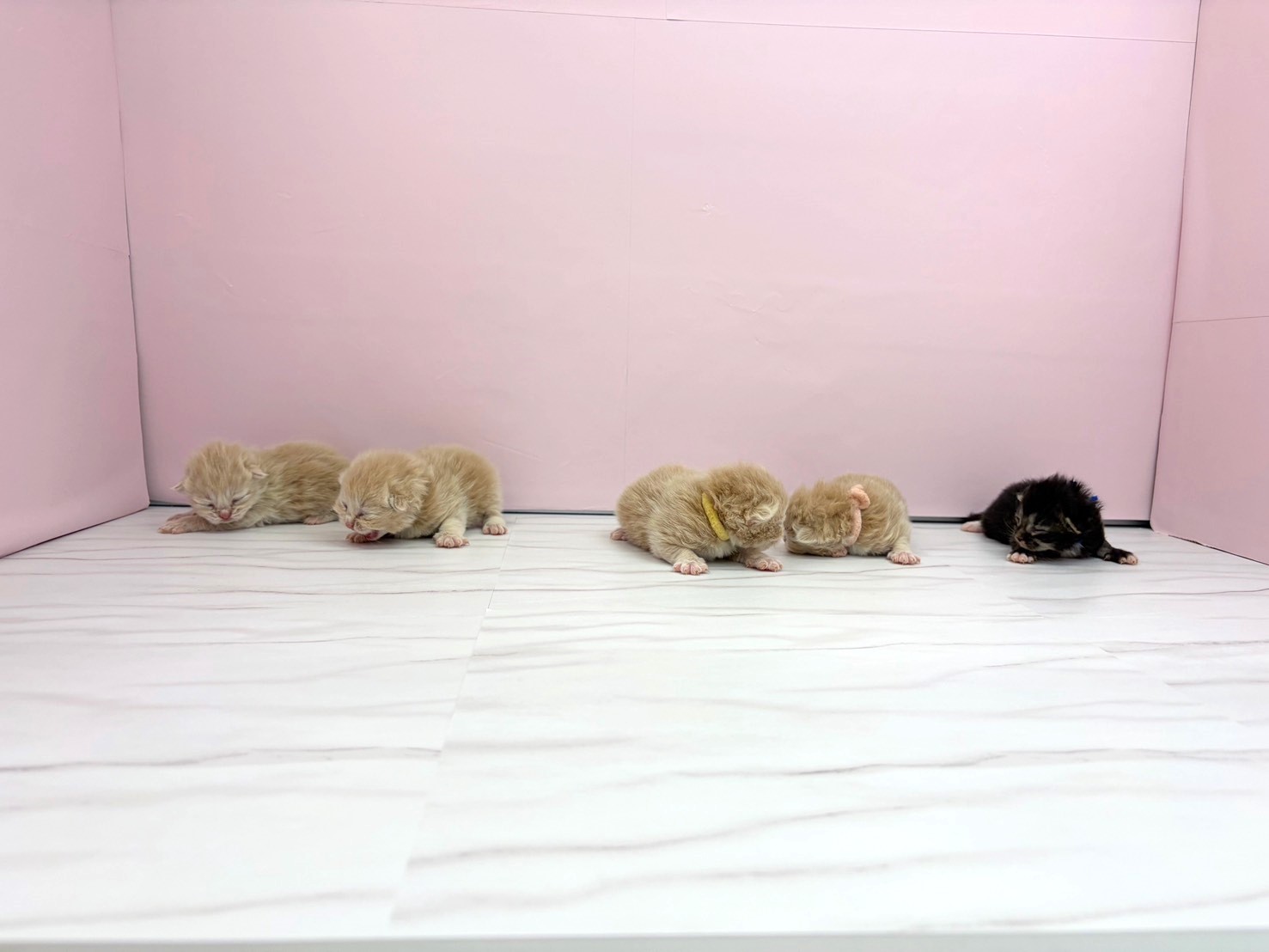 赤ちゃん写真1-3