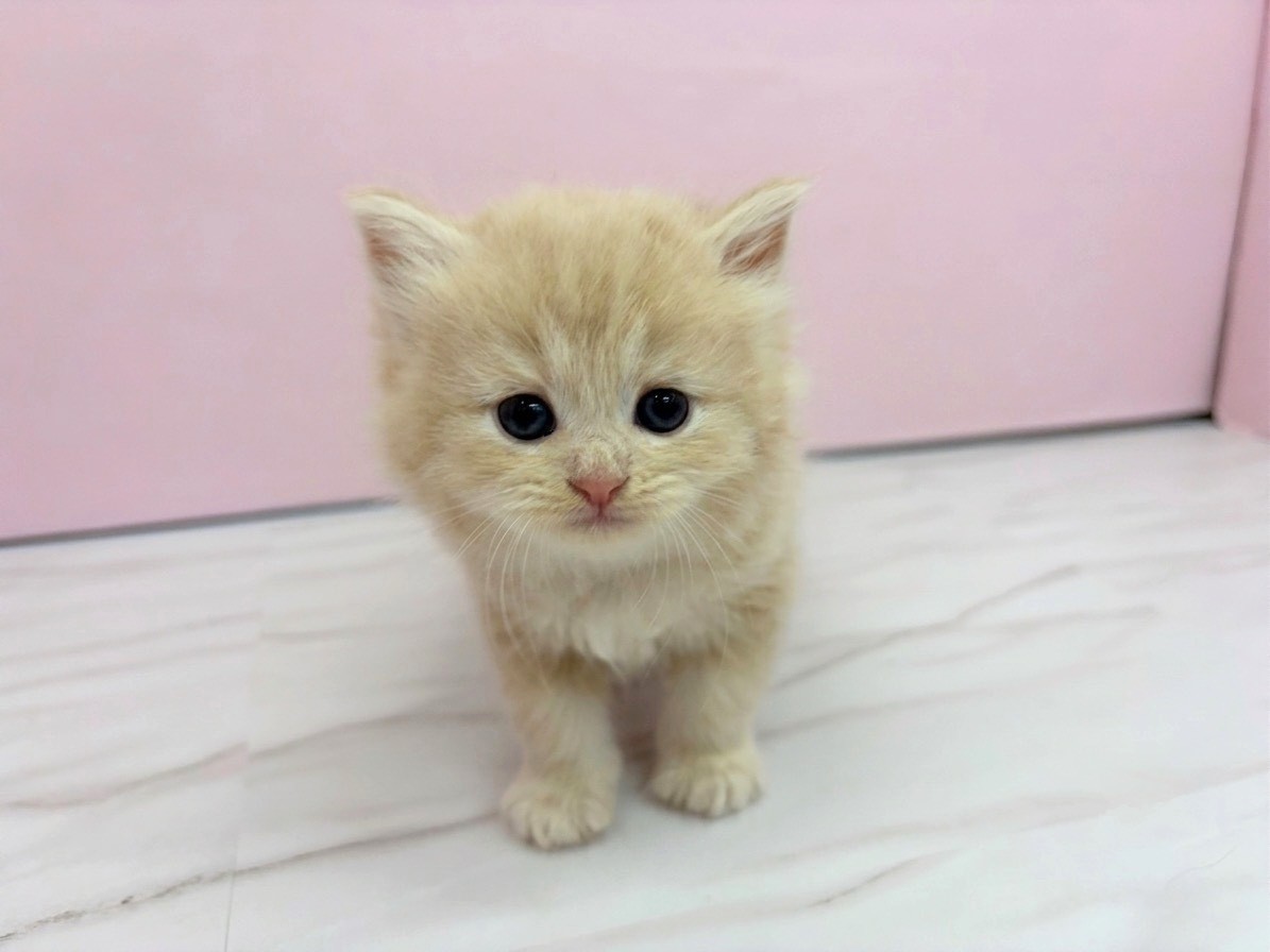 赤ちゃん写真2-1