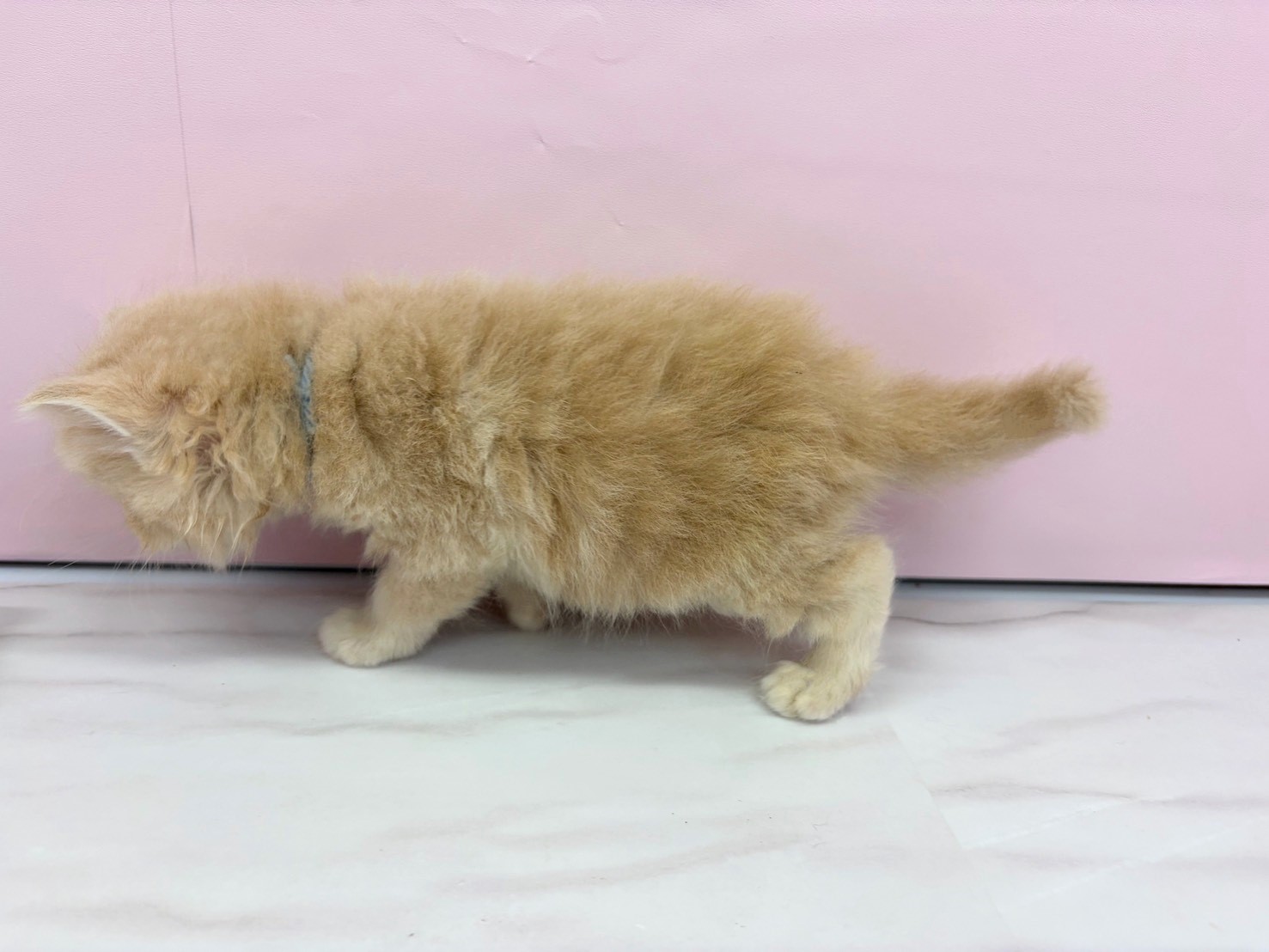 赤ちゃん写真2-2