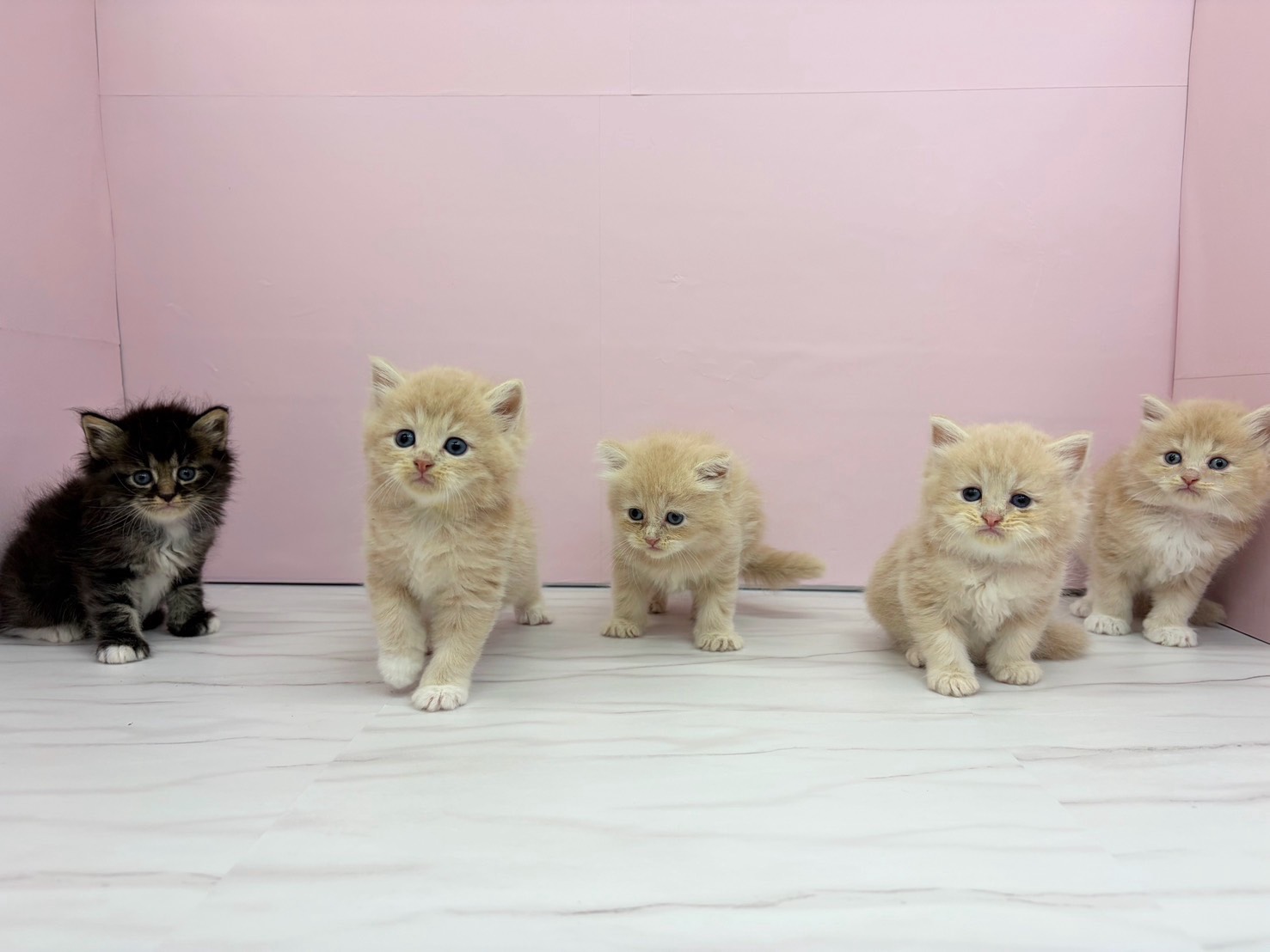 赤ちゃん写真2-3