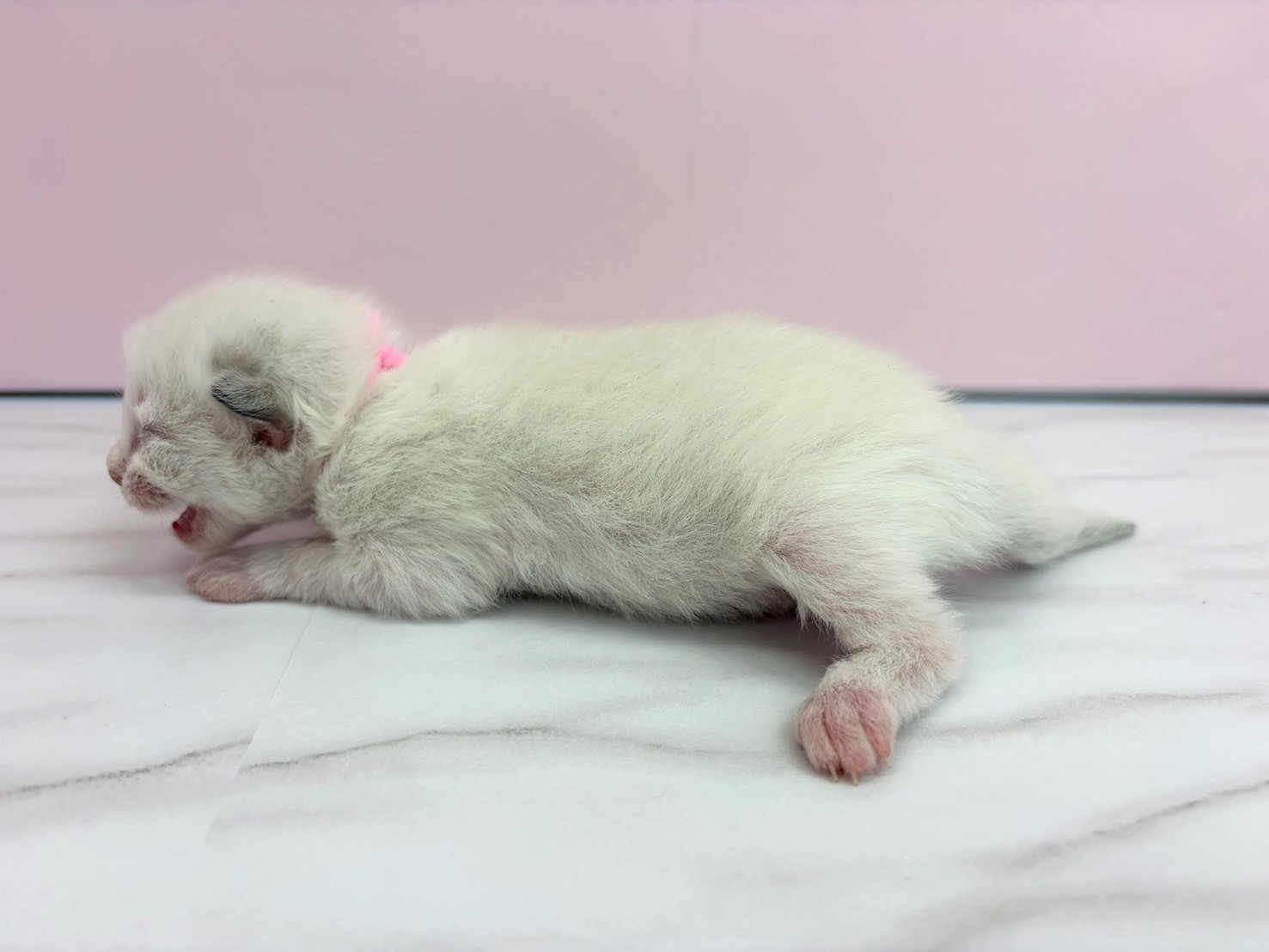 赤ちゃん写真1-2