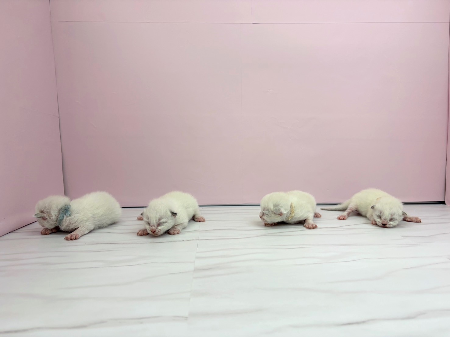 赤ちゃん写真1-3