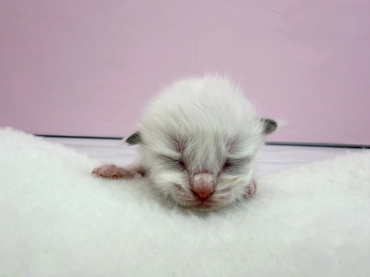赤ちゃん写真1-1