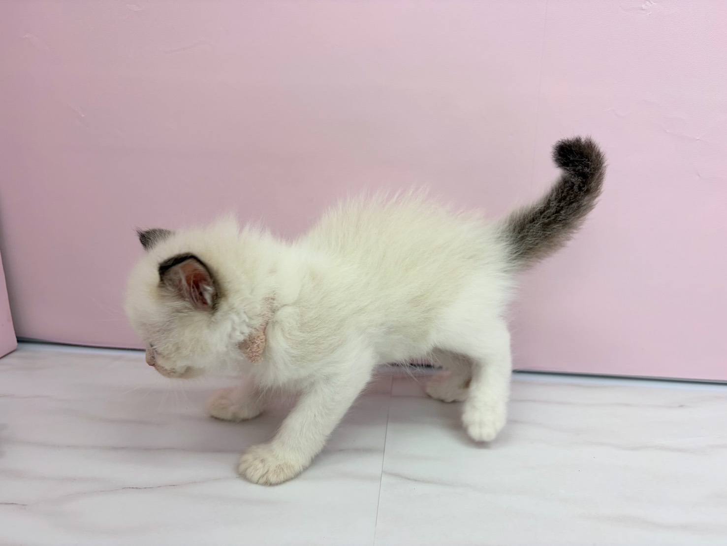 赤ちゃん写真2-2