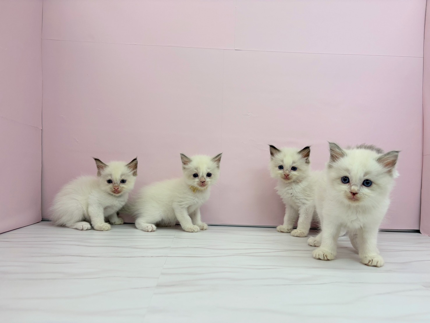 赤ちゃん写真2-3