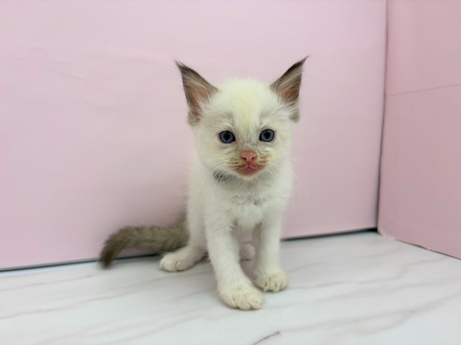 赤ちゃん写真2-1