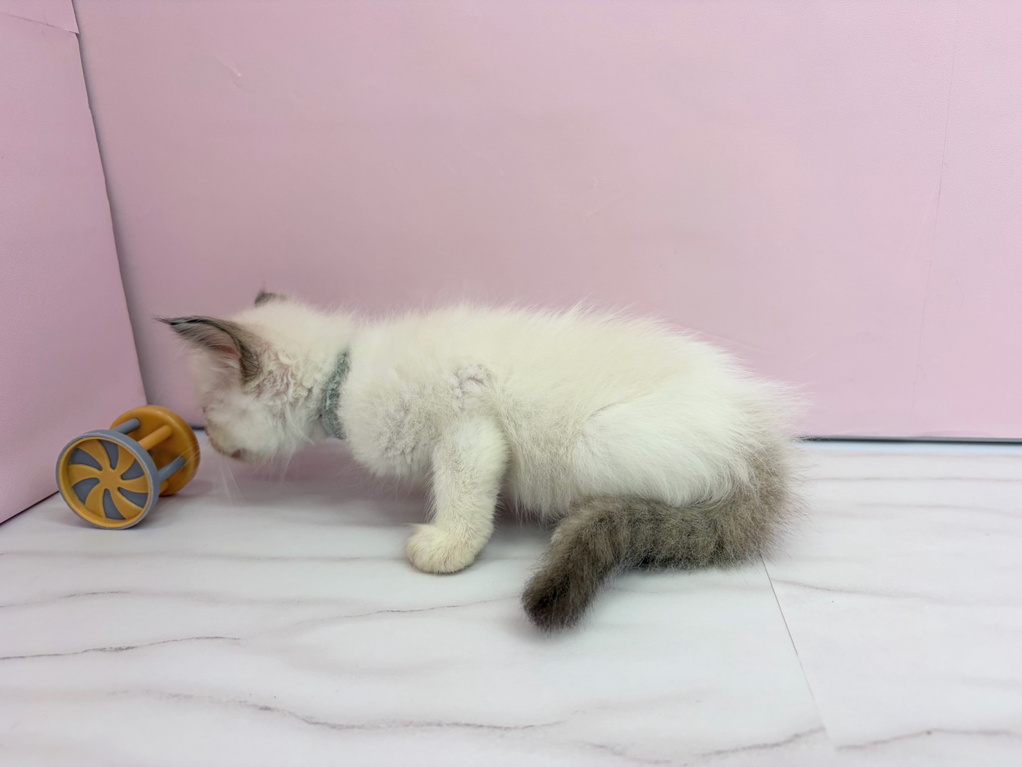赤ちゃん写真2-2