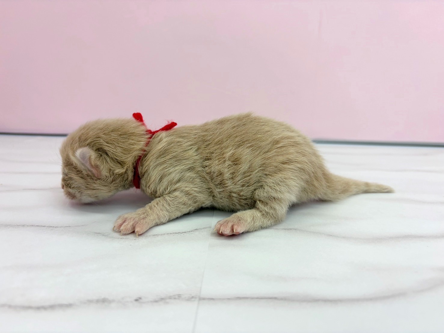 赤ちゃん写真1-2