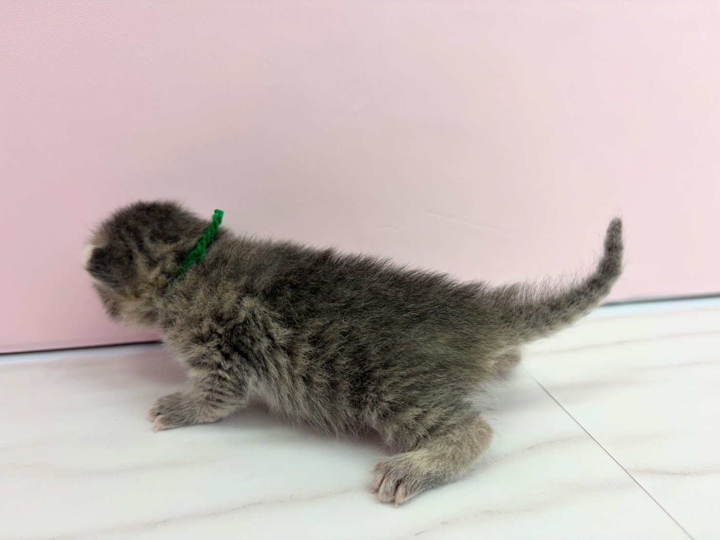 赤ちゃん写真1-2