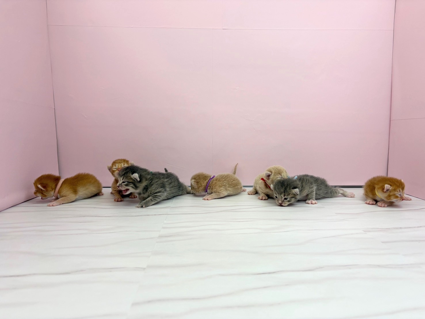 赤ちゃん写真1-3