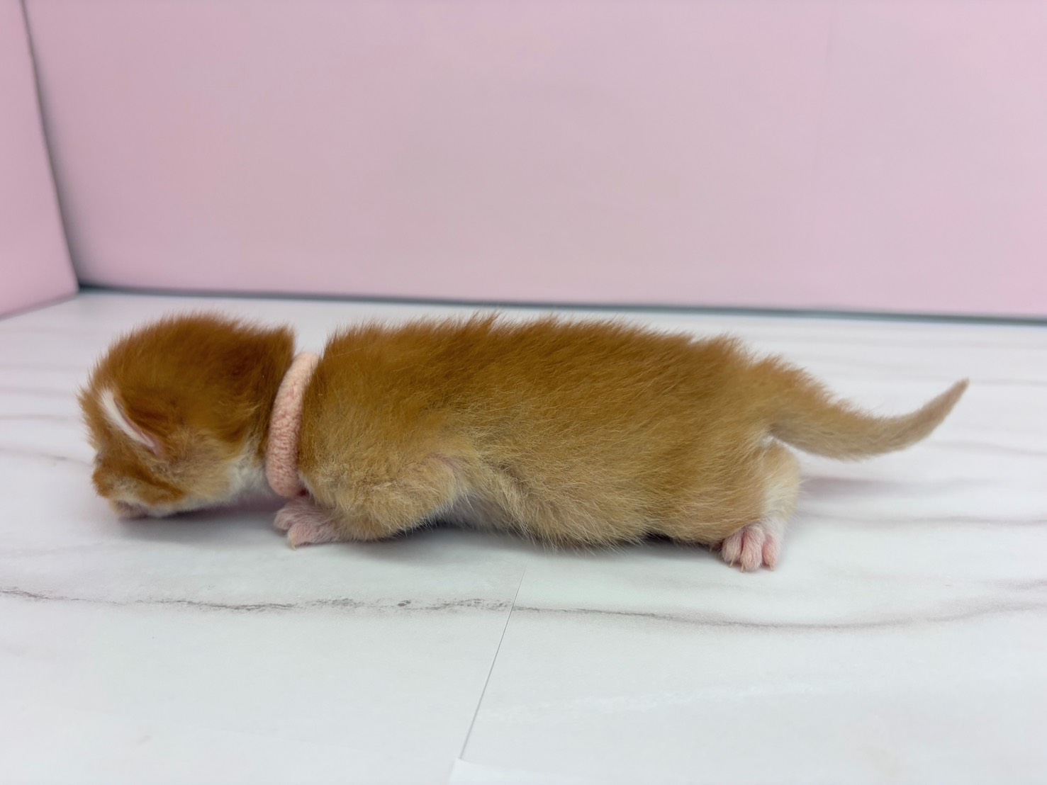 赤ちゃん写真1-2