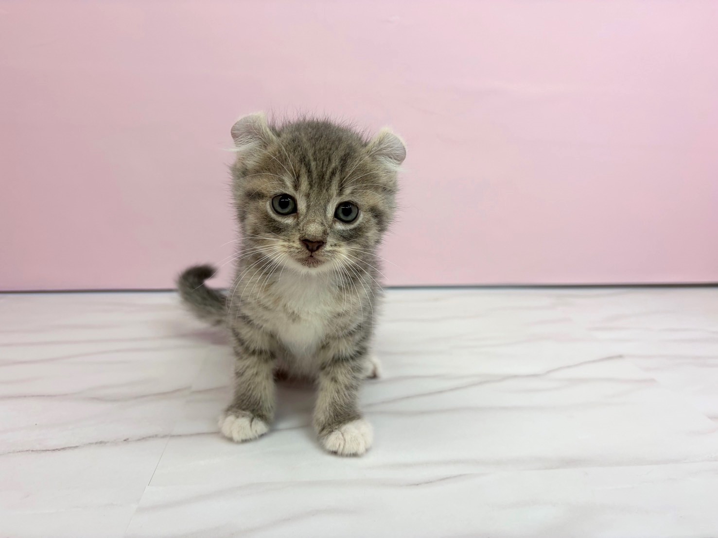 赤ちゃん写真2-1