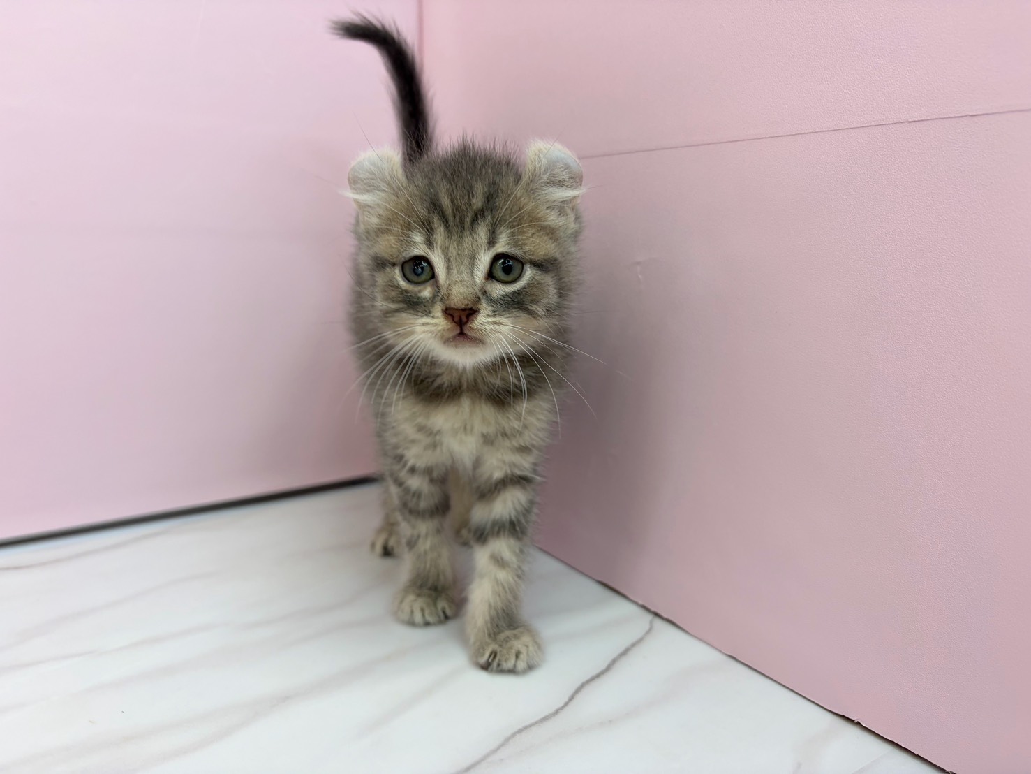 赤ちゃん写真2-1