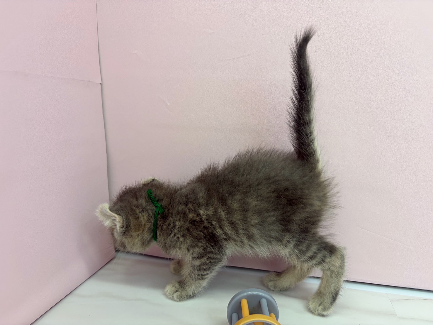 赤ちゃん写真2-2