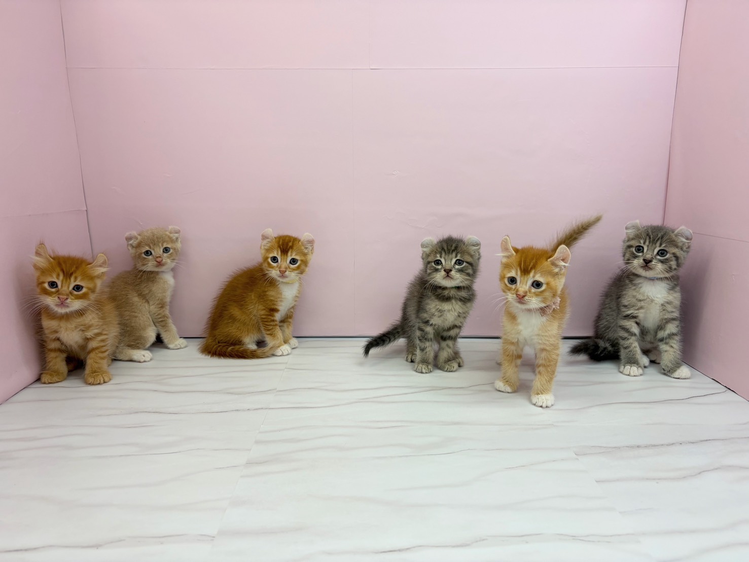 赤ちゃん写真2-3