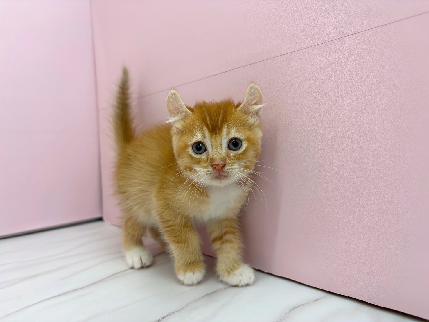赤ちゃん写真2-1