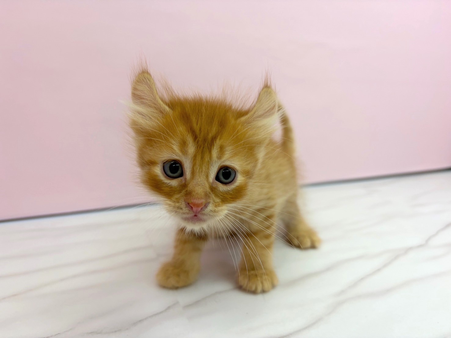 赤ちゃん写真2-1