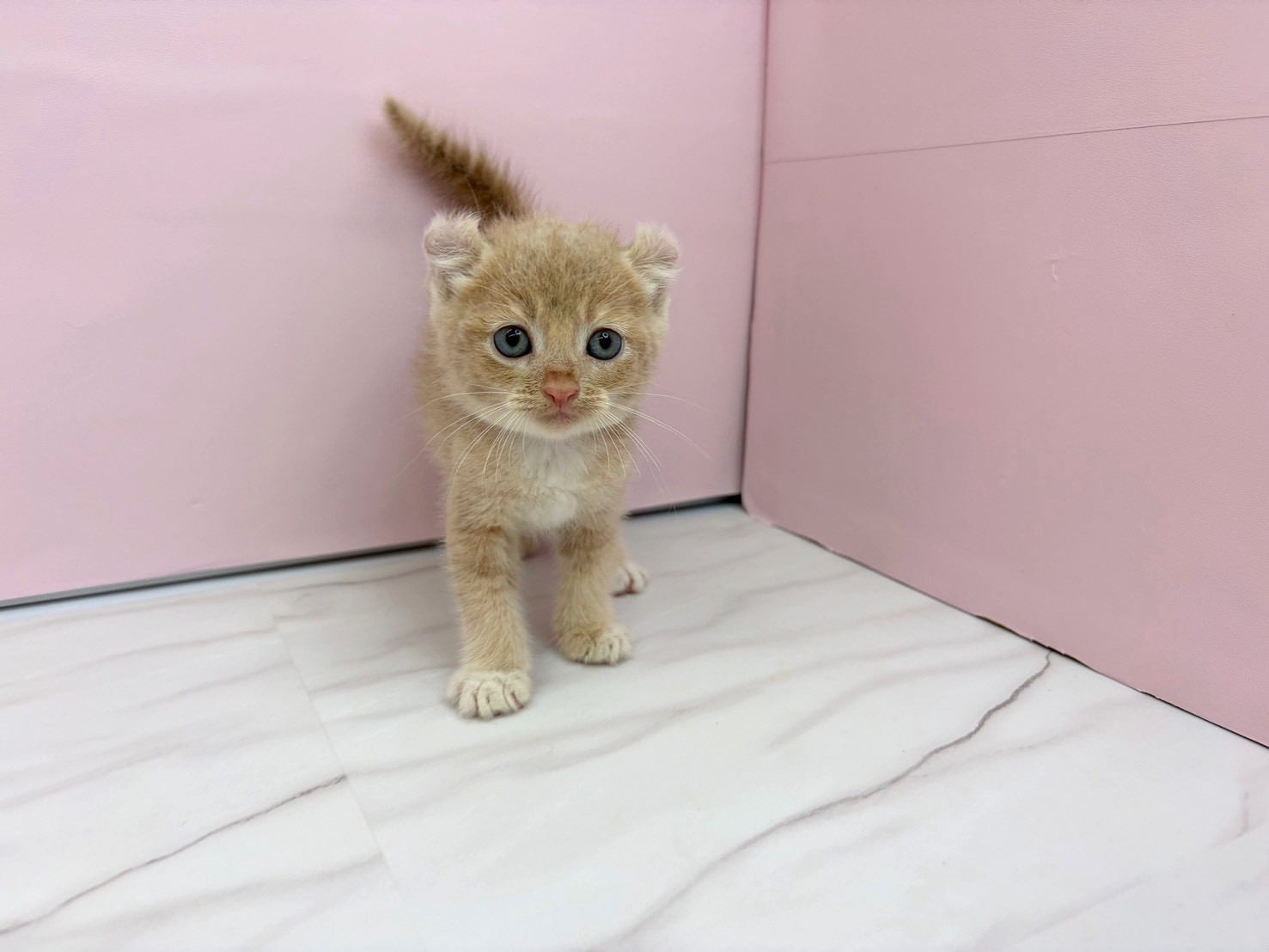 赤ちゃん写真2-1
