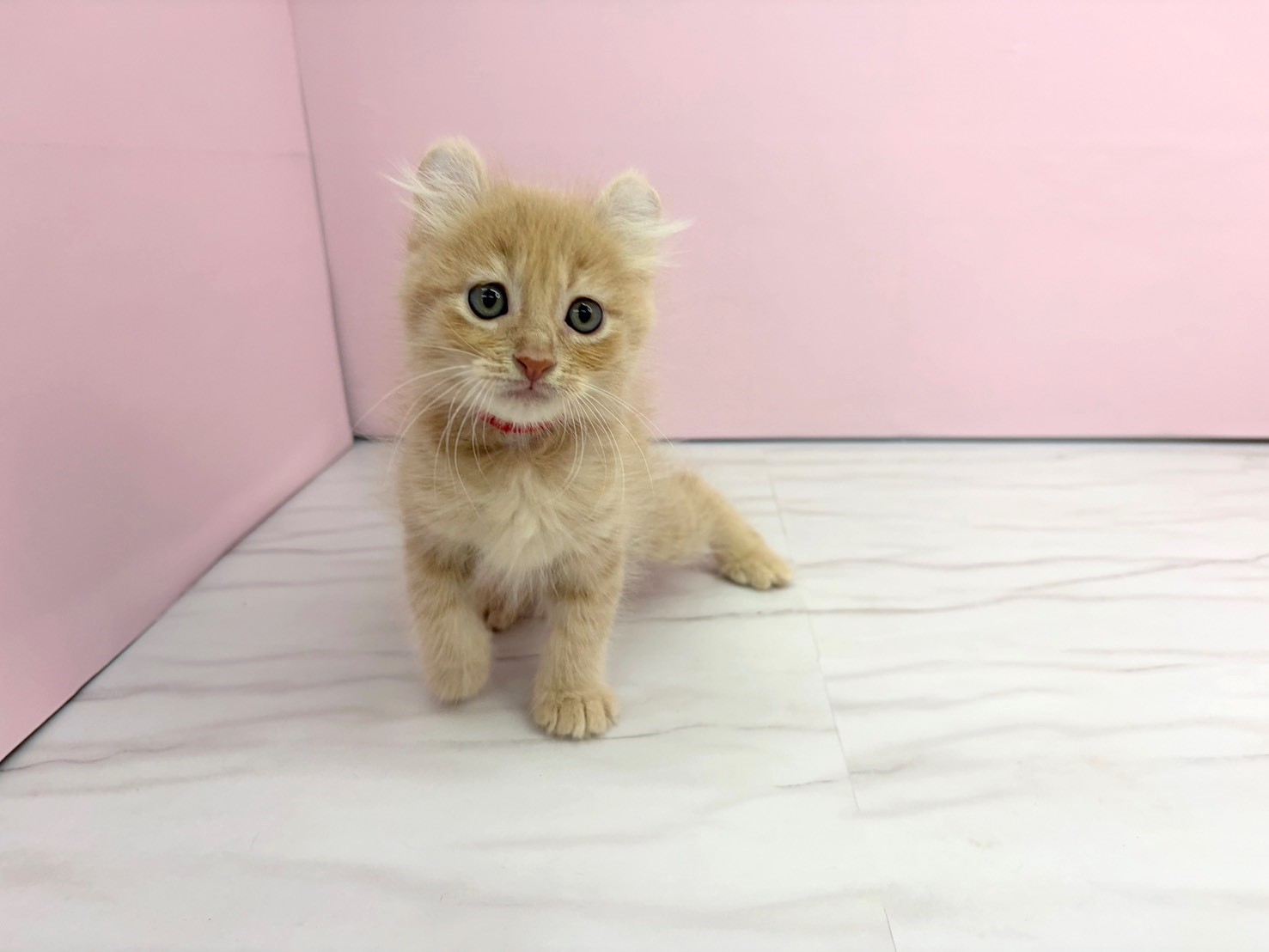 赤ちゃん写真2-1