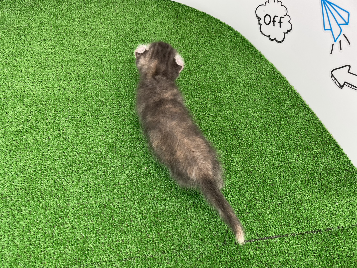 赤ちゃん写真2-3