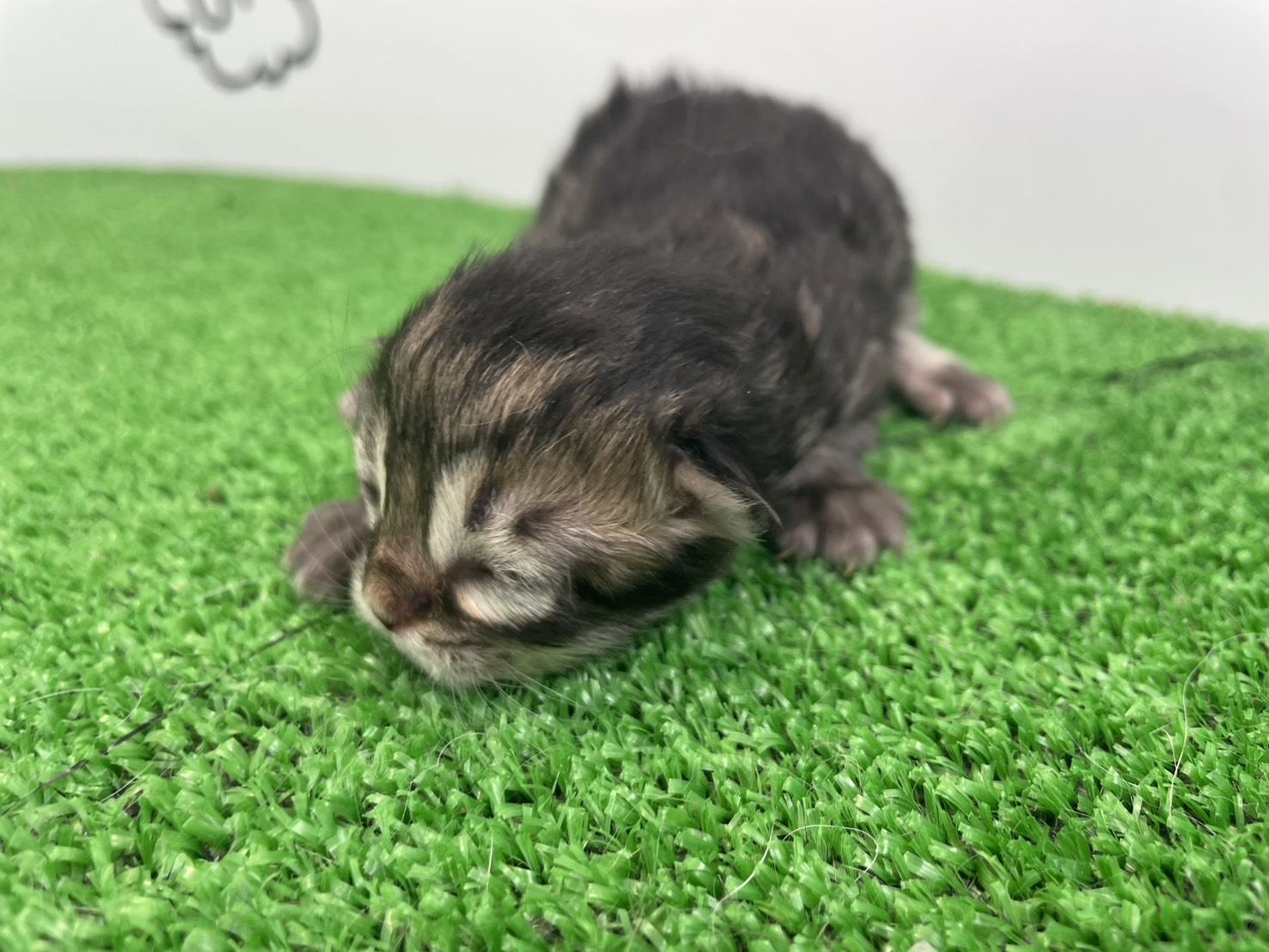 赤ちゃん写真1-1