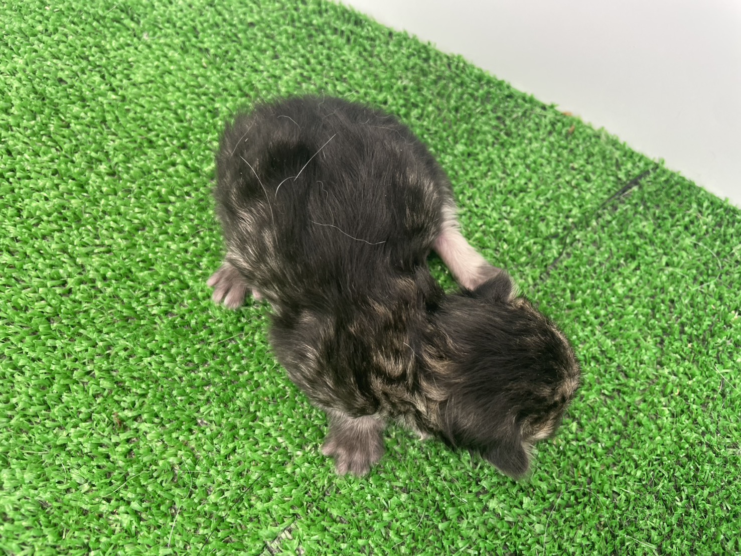 赤ちゃん写真1-3