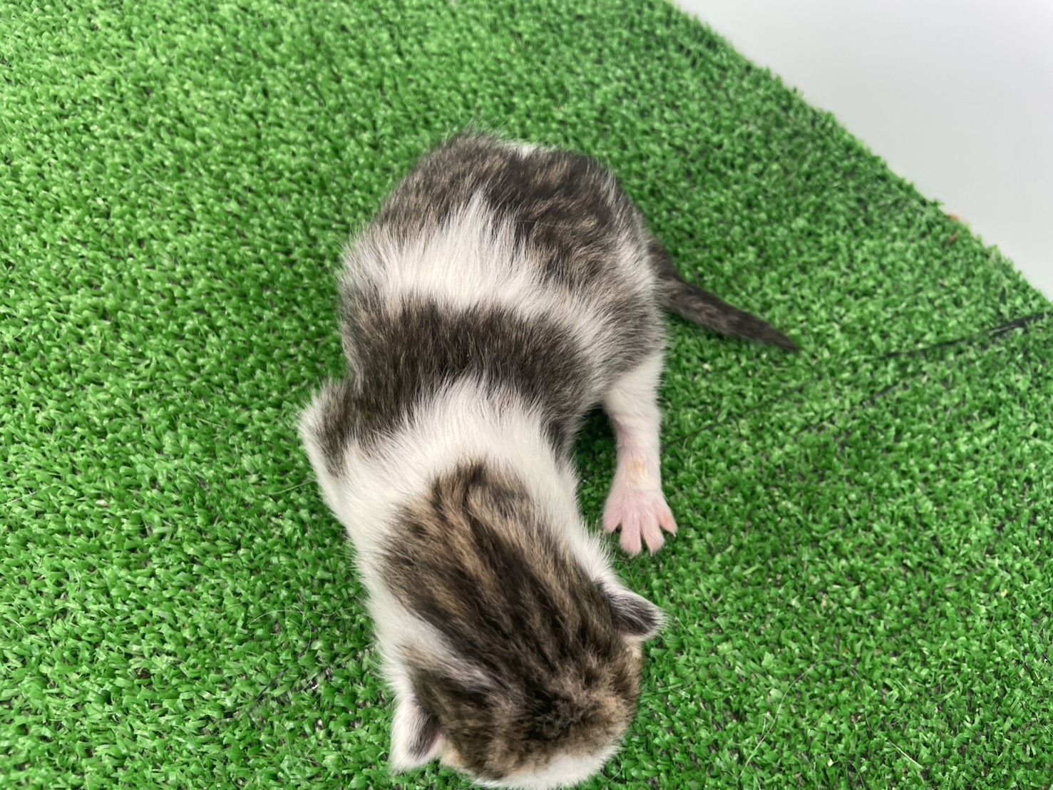 赤ちゃん写真1-3