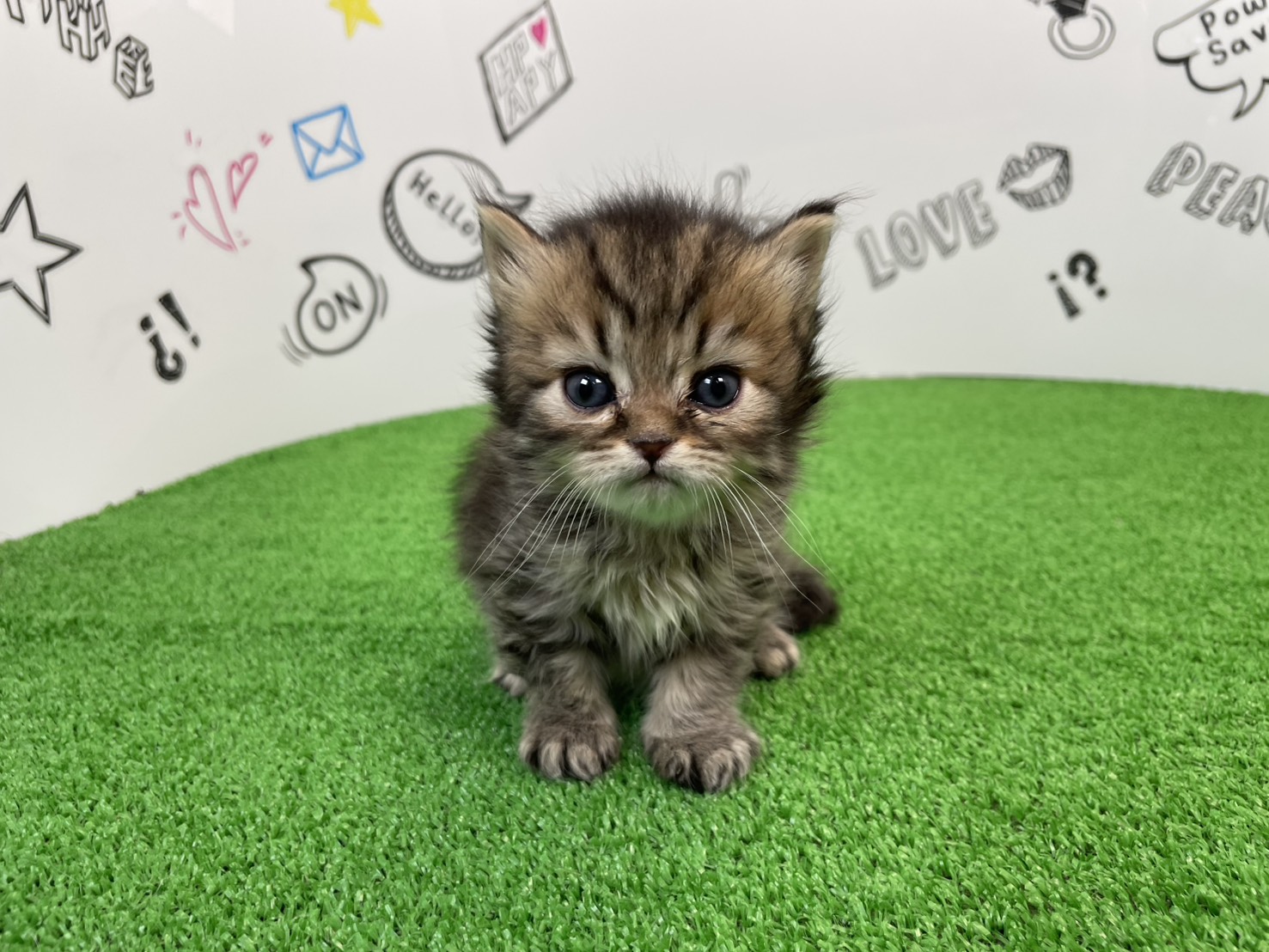 赤ちゃん写真2-1