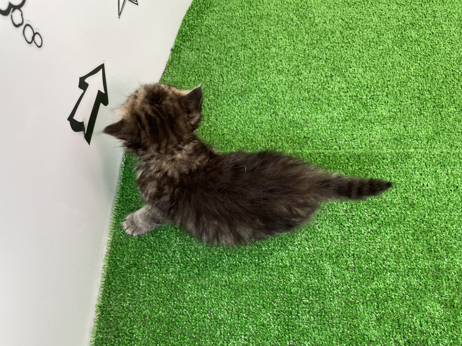 赤ちゃん写真2-3