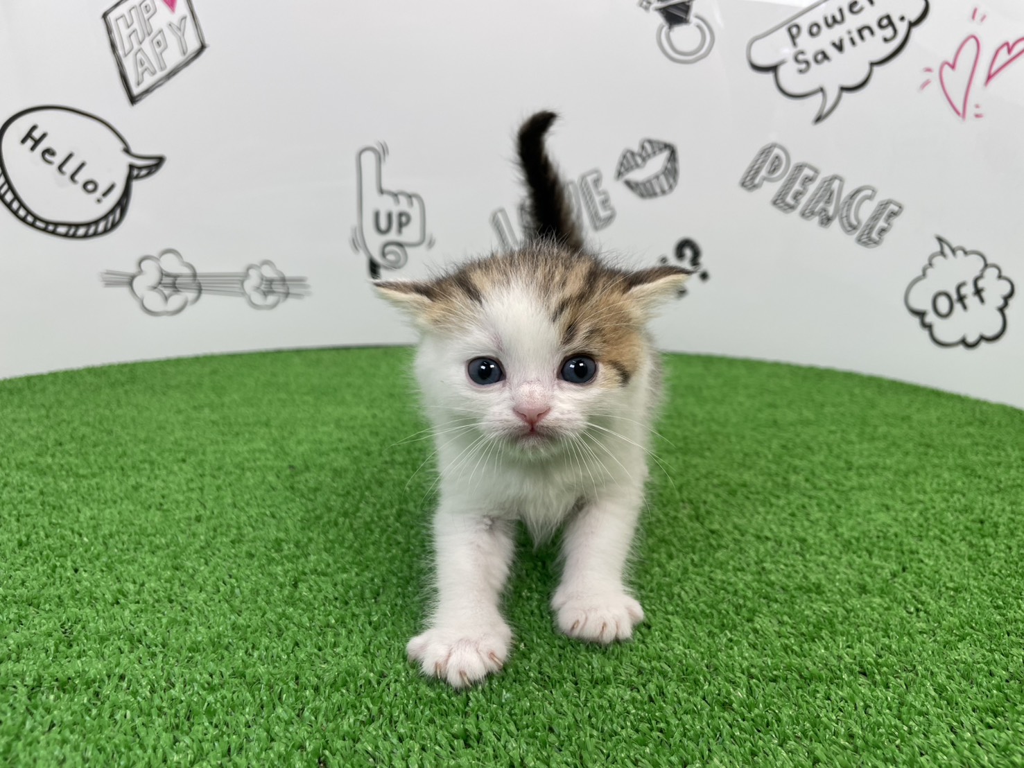 赤ちゃん写真2-1