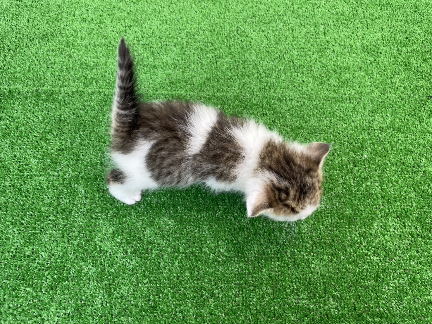 赤ちゃん写真2-3