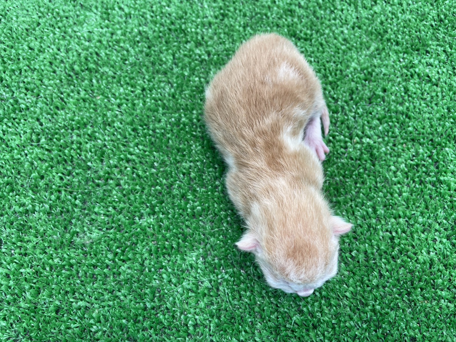 赤ちゃん写真1-3