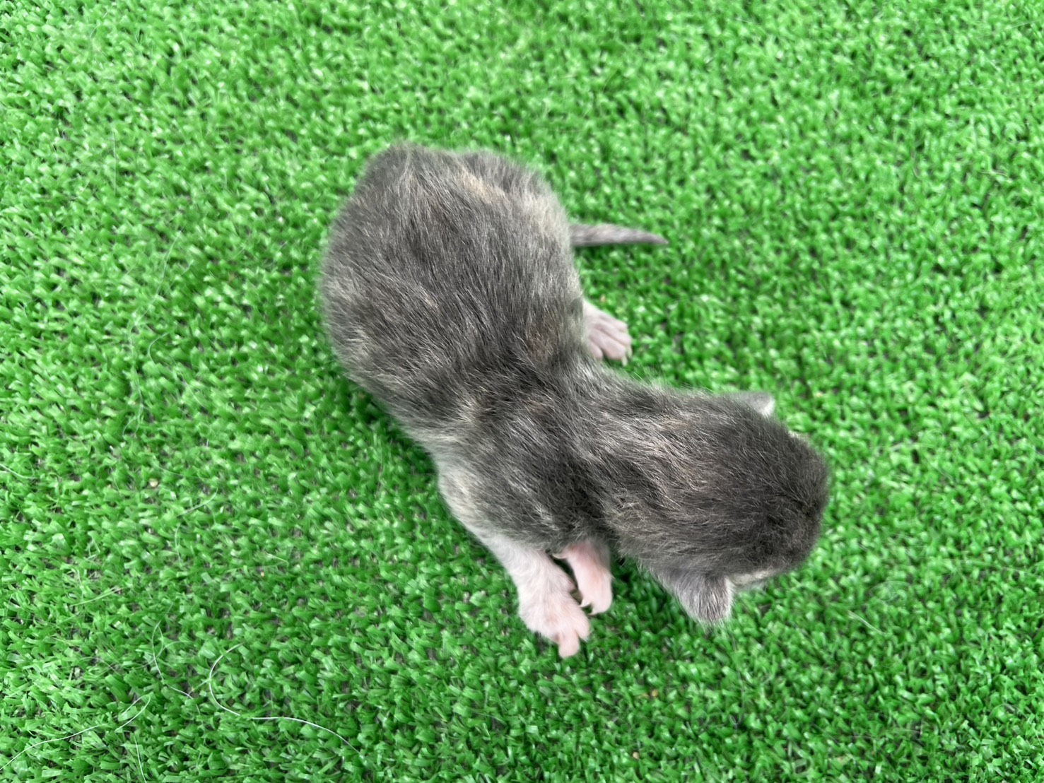 赤ちゃん写真1-3