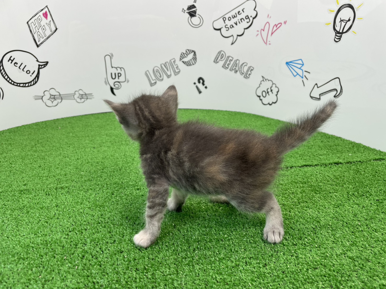 赤ちゃん写真2-2