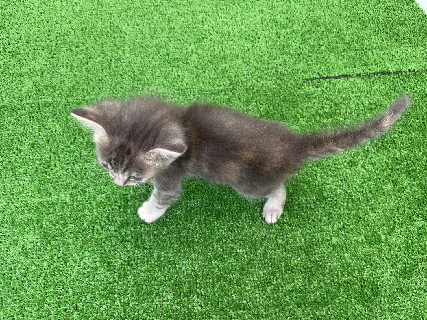 赤ちゃん写真2-3