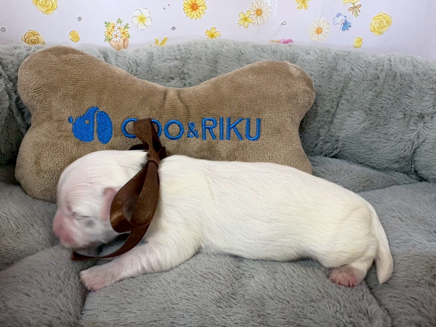 赤ちゃん写真1-2