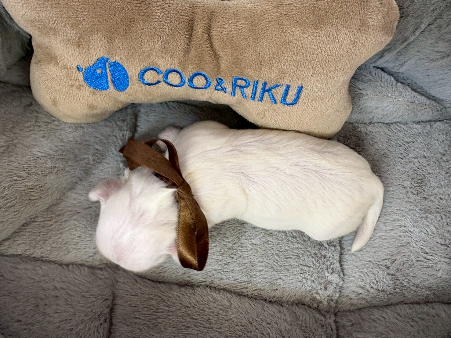 赤ちゃん写真1-3