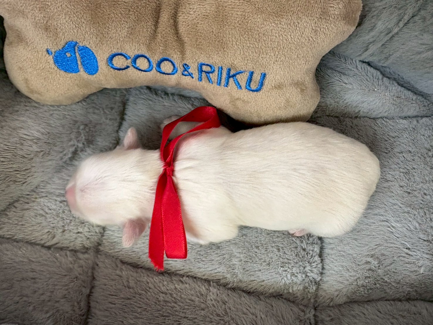 赤ちゃん写真1-3