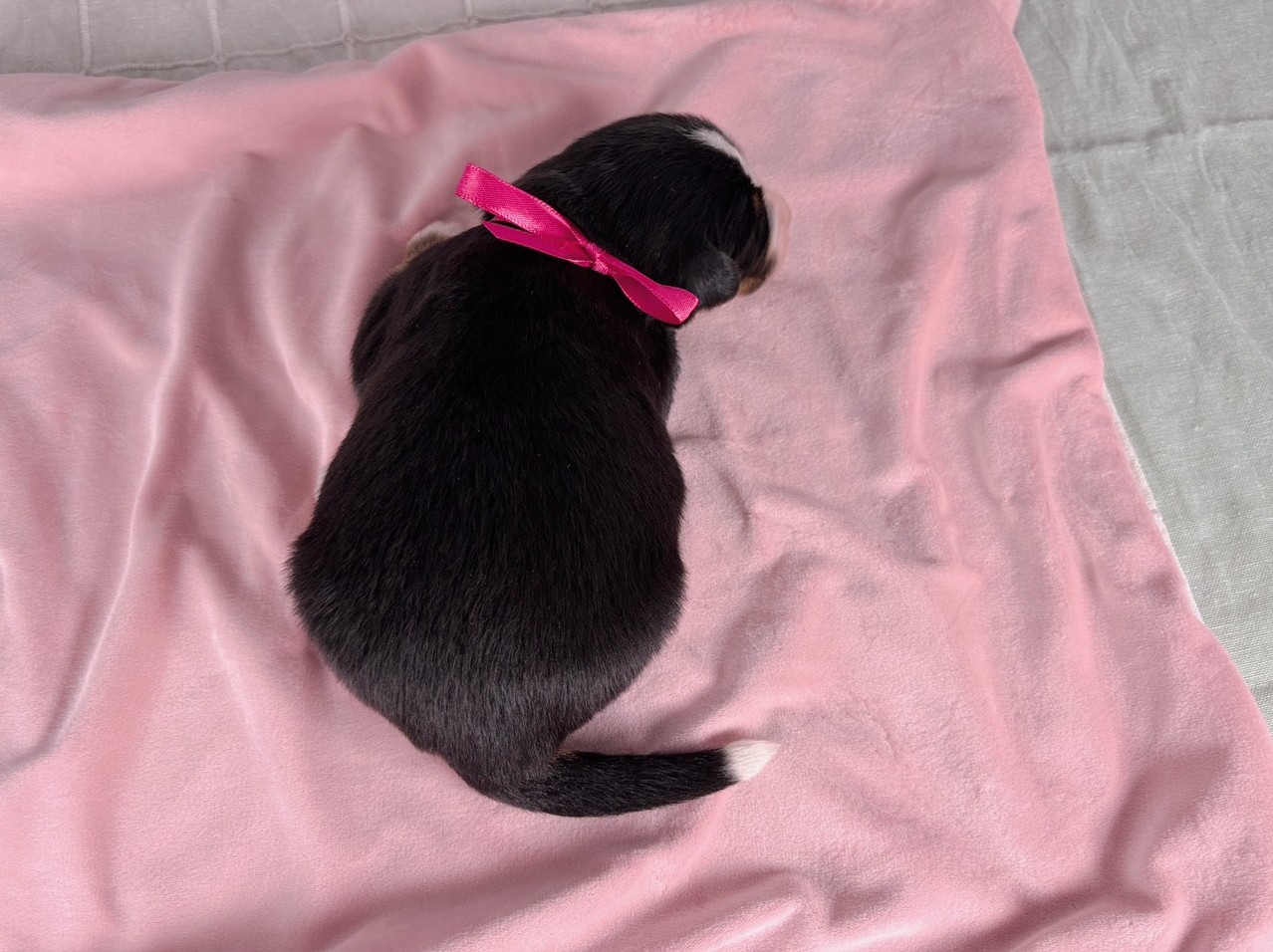 赤ちゃん写真1-3