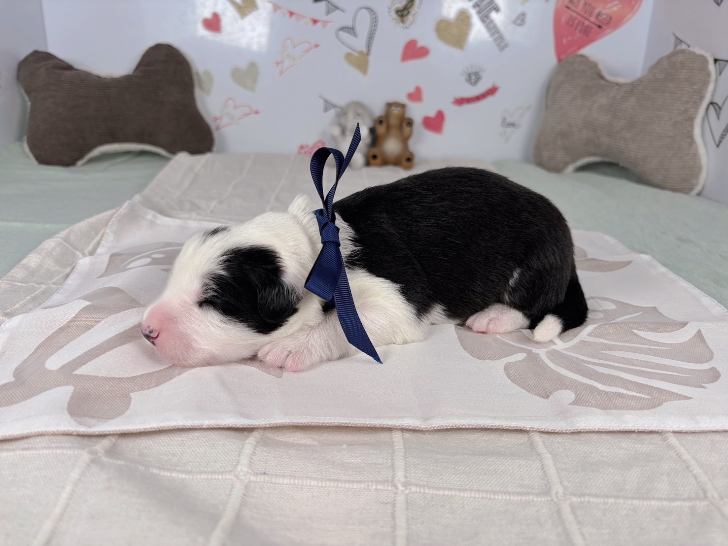 赤ちゃん写真1-2