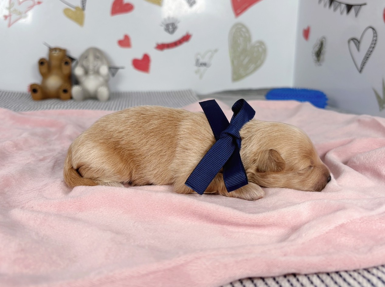 赤ちゃん写真1-2
