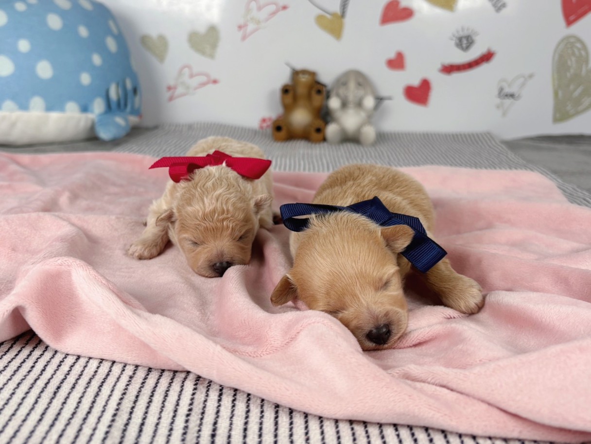 赤ちゃん写真1-3