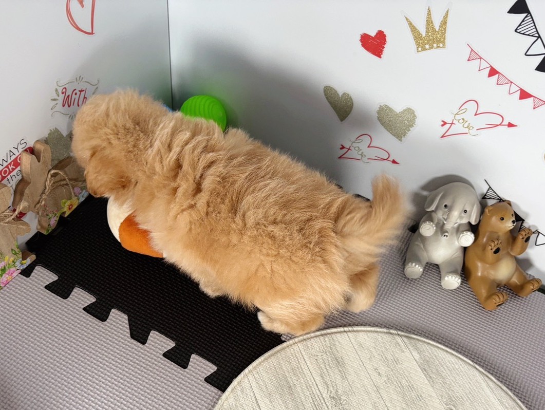 赤ちゃん写真3-3