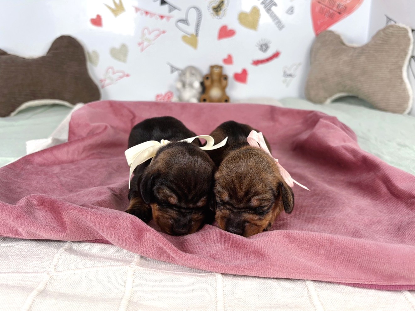 赤ちゃん写真1-3