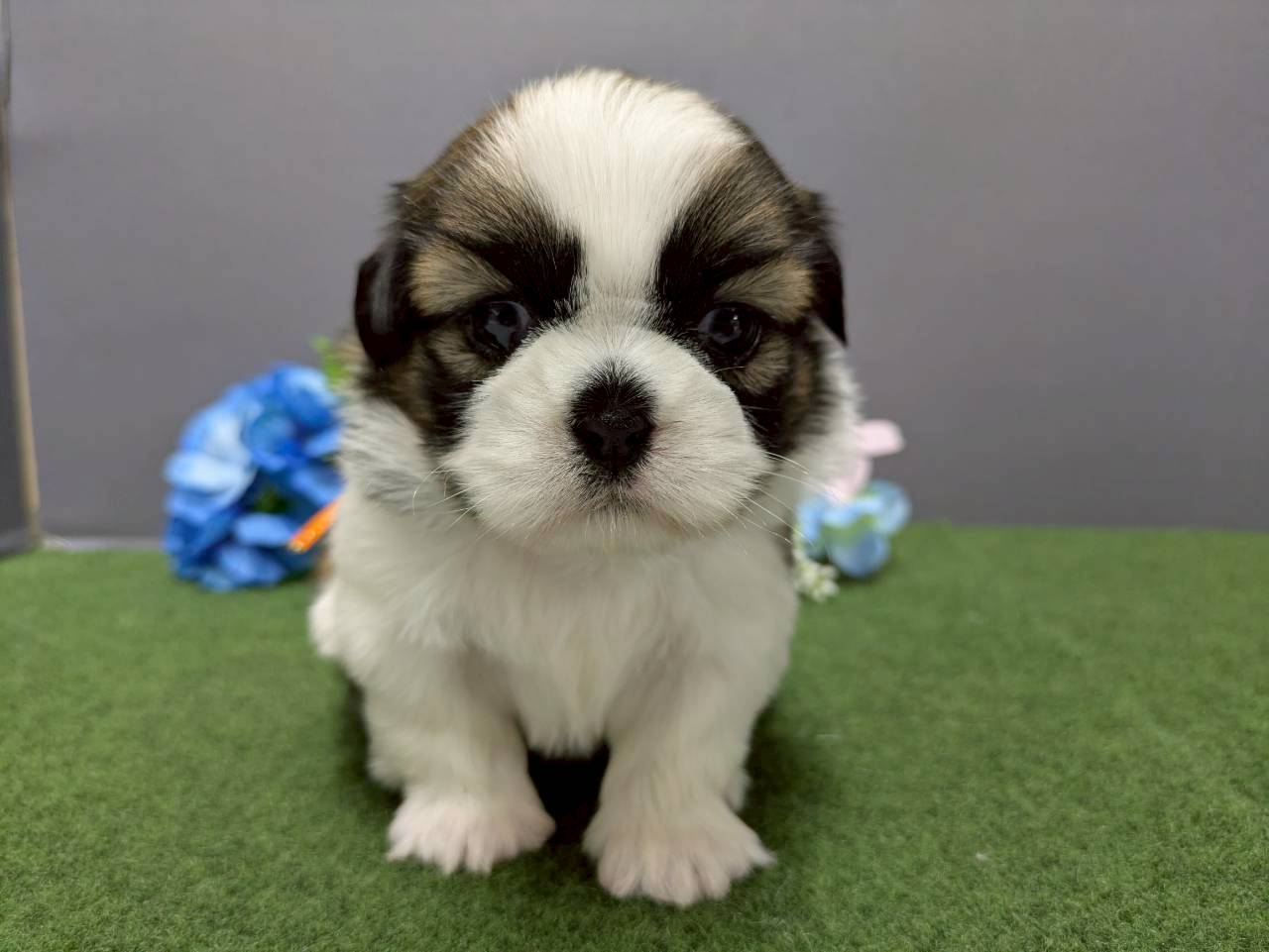赤ちゃん写真2-1
