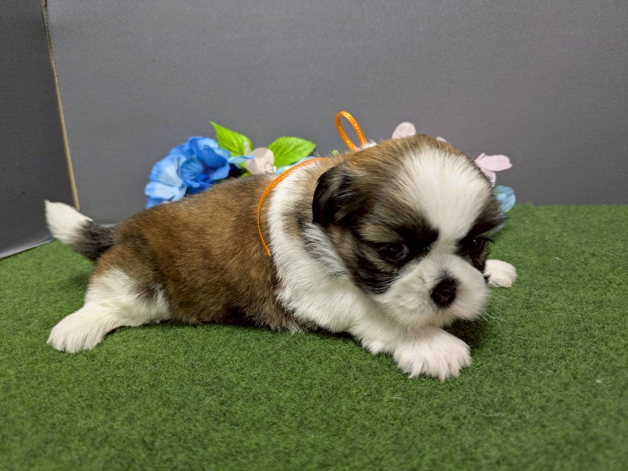 赤ちゃん写真2-2